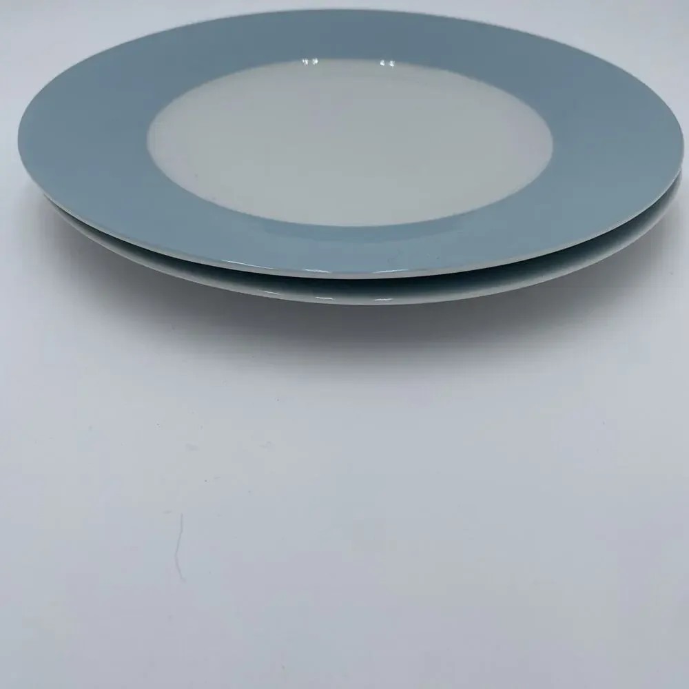 IKEA Susan Pyrke 365 Set of 2 White & Blue Rim Stoneware 8.5” Luncheon Plates